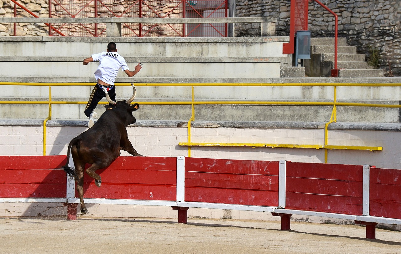 重点