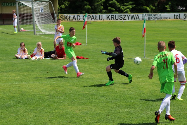 体育竞技 体育竞技