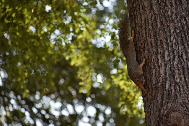 制胜的法宝 制胜的法宝