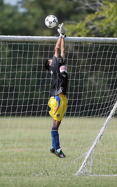 心理学显示 心理学显示